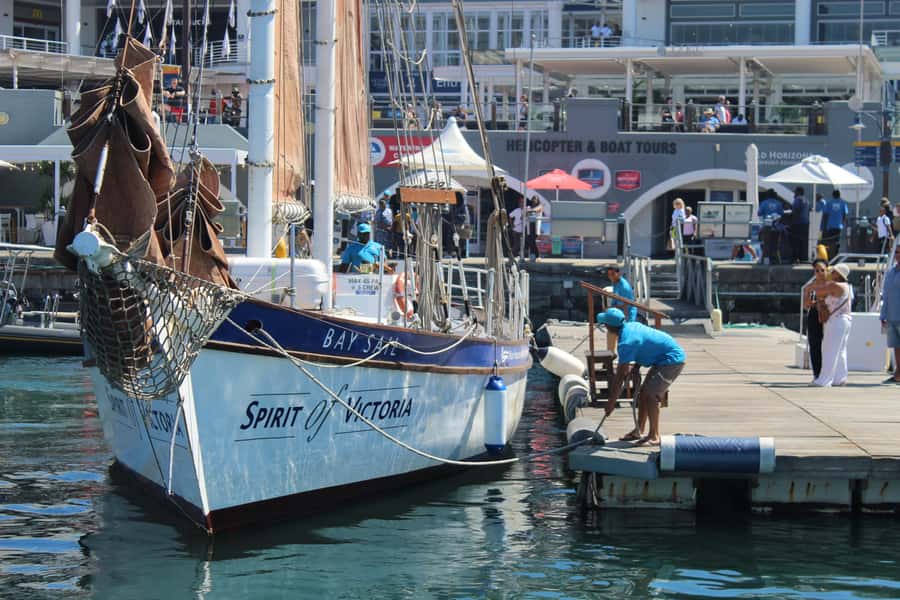 Cape Town: 1 Hour Table Bay Sailing Tour - From harbor water to open Table Bay