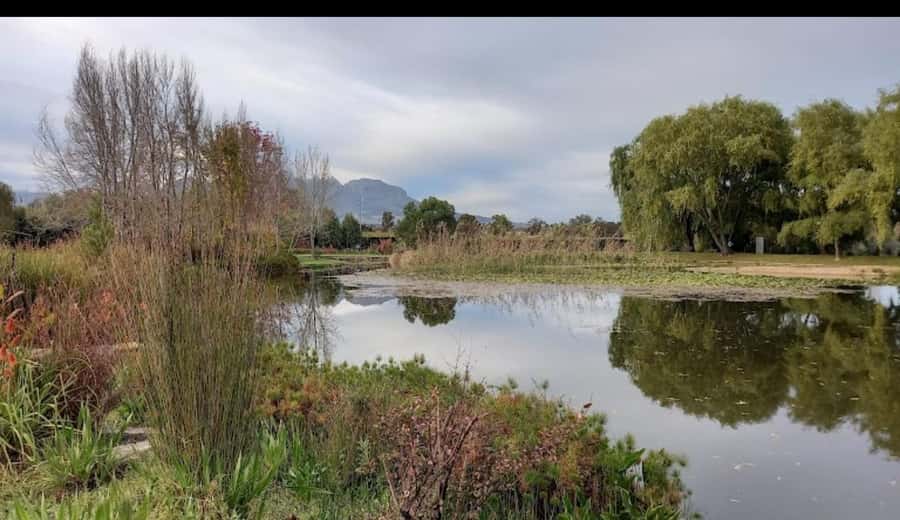 Cape Town: 15 Wine Tasting & Wildlife Small Group Tour - Key points before you book