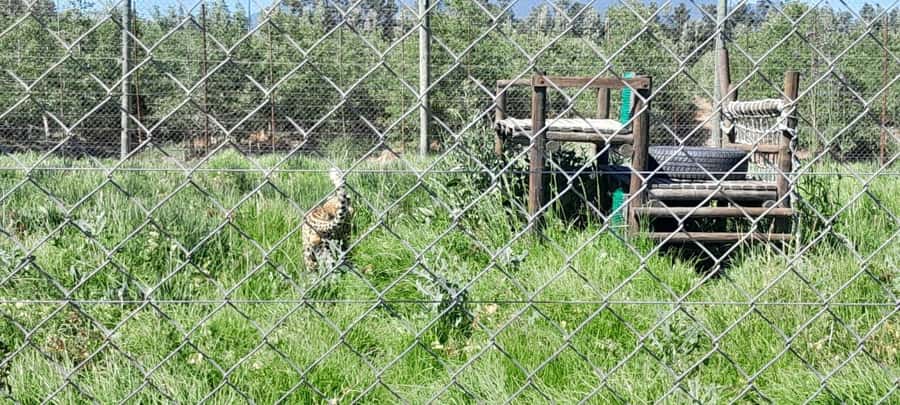 Cape Town: 15 Wine Tasting & Wildlife Small Group Tour - Groot Drakenstein and the road between the stops