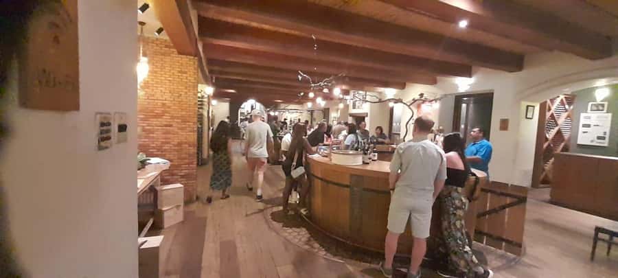 Cape Town: 15 Wine Tasting & Wildlife Small Group Tour - What 15 tastings really means