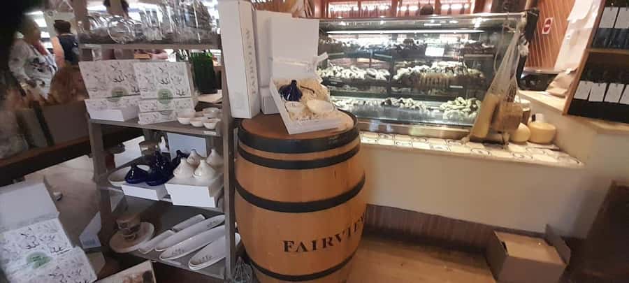 Cape Town: 15 Wine Tasting & Wildlife Small Group Tour - Who will get the most from this tour