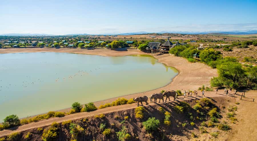 Cape Town: 2-Day Wildlife Tour with Safaris and Luxury Stay - Botlierskop and the first two-hour 4x4 drive