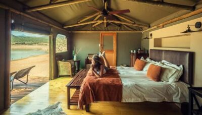 2-Day Wildlife Tour with Safaris and Luxury Stay