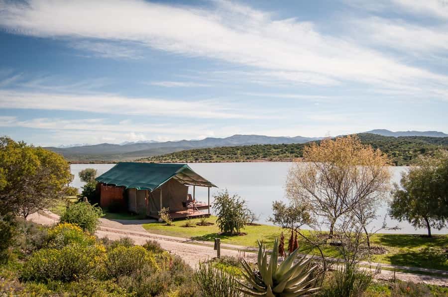Cape Town: 2-Day Wildlife Tour with Safaris and Luxury Stay - A night at Buffelsdrift Lodge or another stay