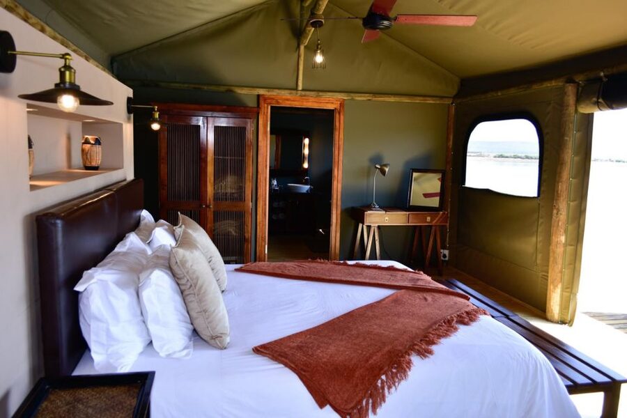 Cape Town: 2-Day Wildlife Tour with Safaris and Luxury Stay - Route 62, mountain passes, and the long return