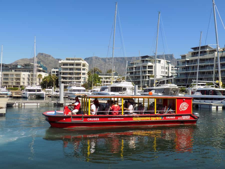 Cape Town: 30 Minute Seal-Watching Harbour Cruise - Key points to know before you go