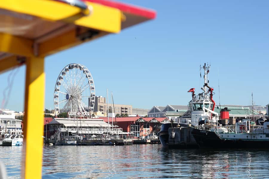 Cape Town: 30 Minute Seal-Watching Harbour Cruise - Who will enjoy this harbour cruise