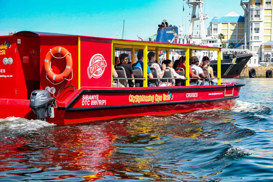 Cape Town: 30 Minute Seal-Watching Harbour Cruise - A balanced look at the drawbacks
