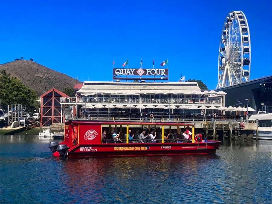 Cape Town: 30 Minute Seal-Watching Harbour Cruise - Leaving from the Two Oceans Aquarium