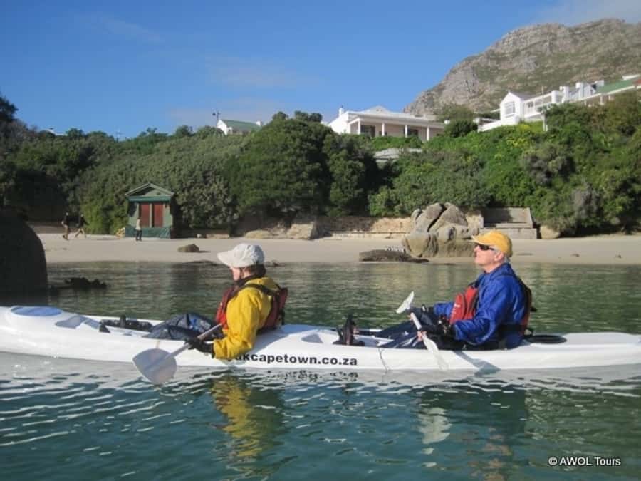 Cape Town: 9-hour Cape Point Private Guided Cycling Tour - What the private format really adds