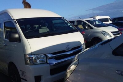 Cape Town Airport Transfers to hotels and Return Transfers, Wi-Fi