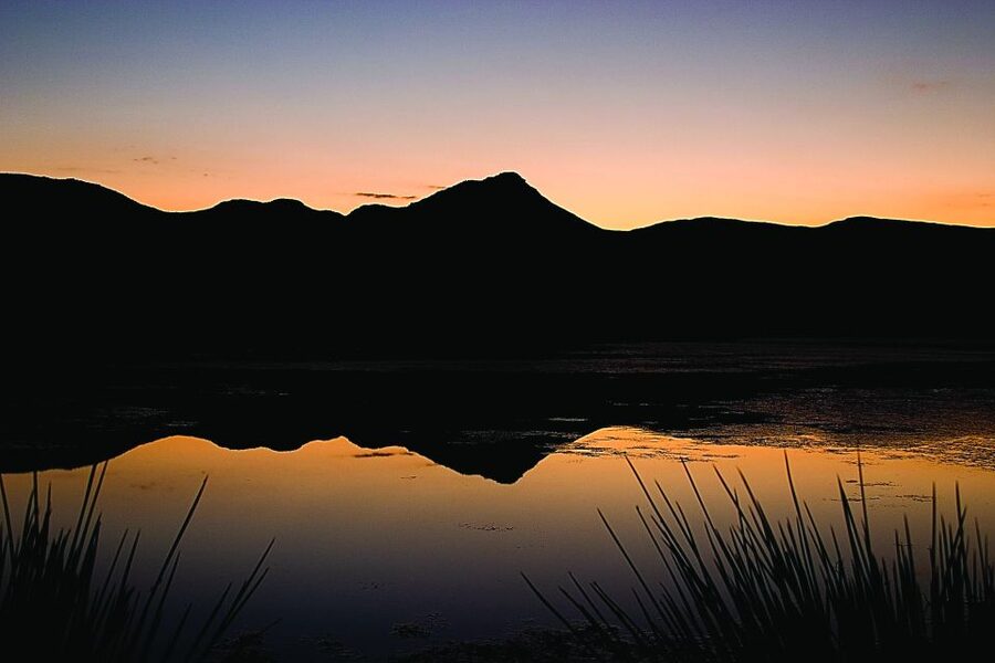 Cape Town: Aquila Game Reserve Day Entrance & Game Drive - Breakfast sets the pace for the morning