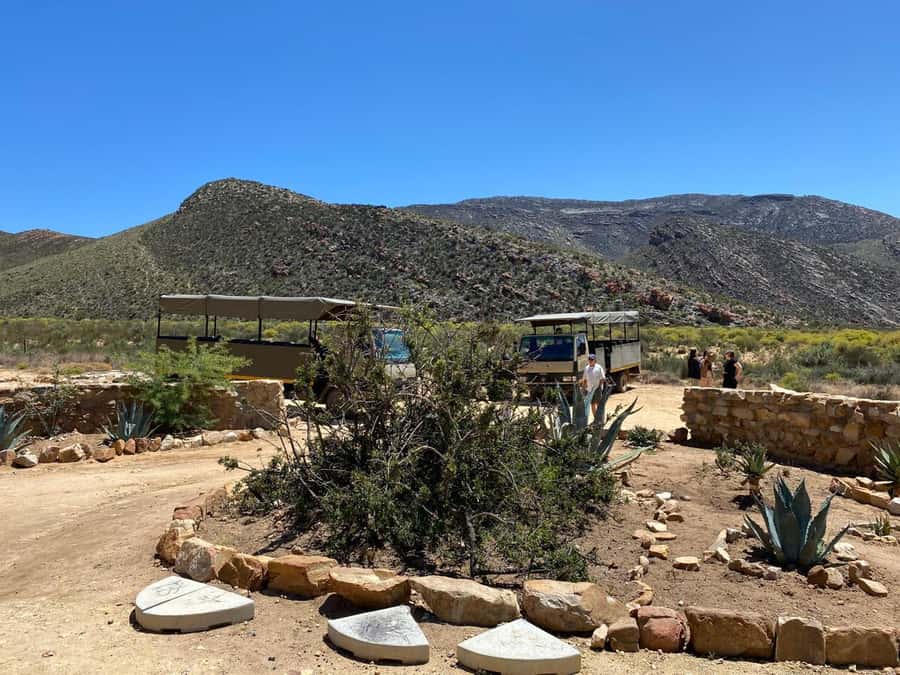 Cape Town: Aquila Game Reserve & V&A Waterfront Tour w/Lunch - Breakfast, welcome drinks, and a substantial lunch