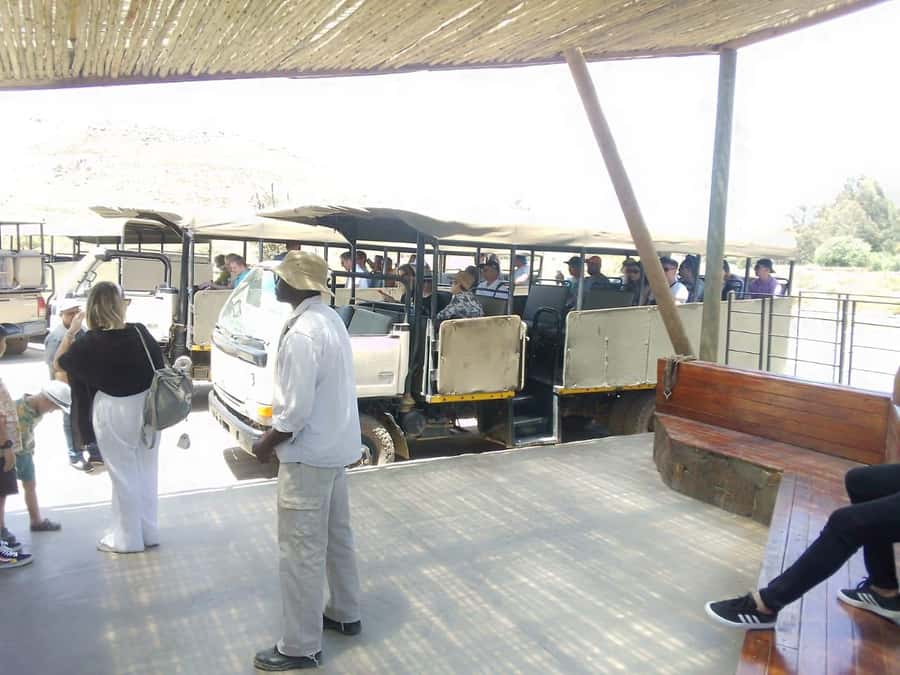 Cape Town: Aquila Reserve Safari with Lunch and Winery Visit - A long day with a simple route home