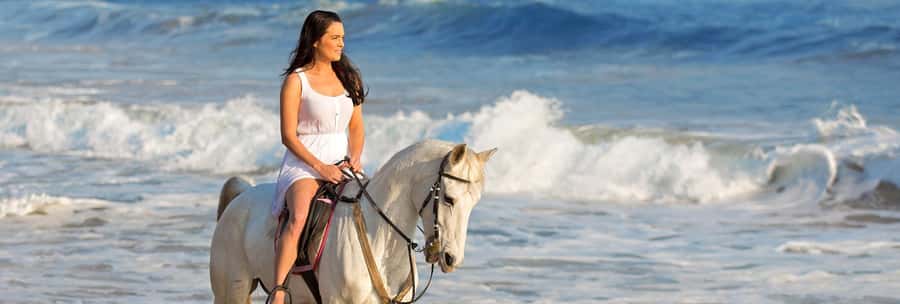 Cape Town: Beach Horse Ride with Hotel Pickup & Drop-off - The beach ride, from mounting to the water