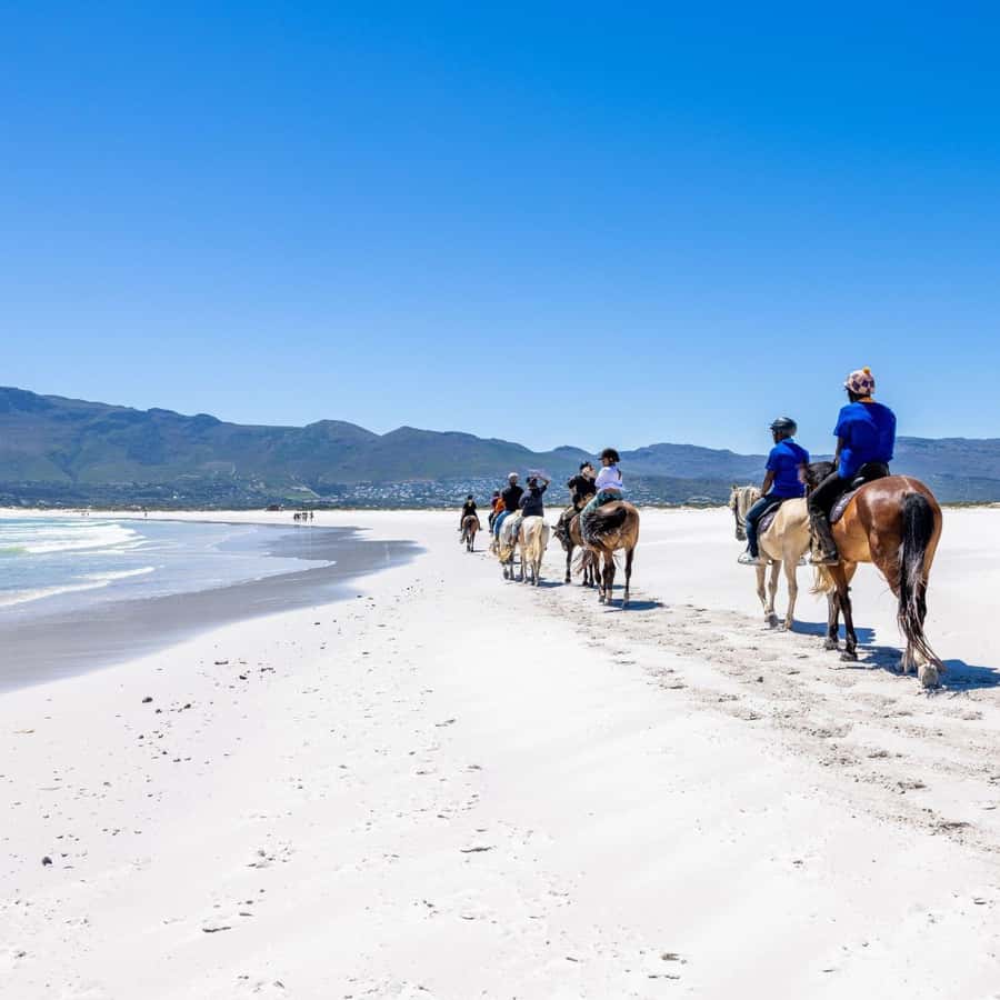 Cape Town: Beach Horse Ride with Hotel Pickup & Drop-off - Practical preparation for a sandy Atlantic ride