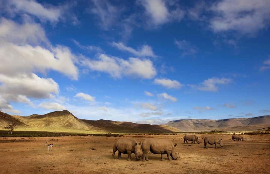 Cape Town: Big Five Safari and Breede River Valley Day Trip - Du Toits Kloof Pass and the Breede River Valley
