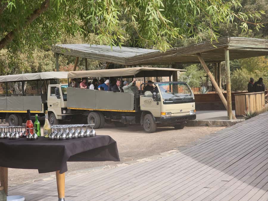 Cape Town big five safari with transport lunch Excl park fee - Lunch, swimming, and time between activities