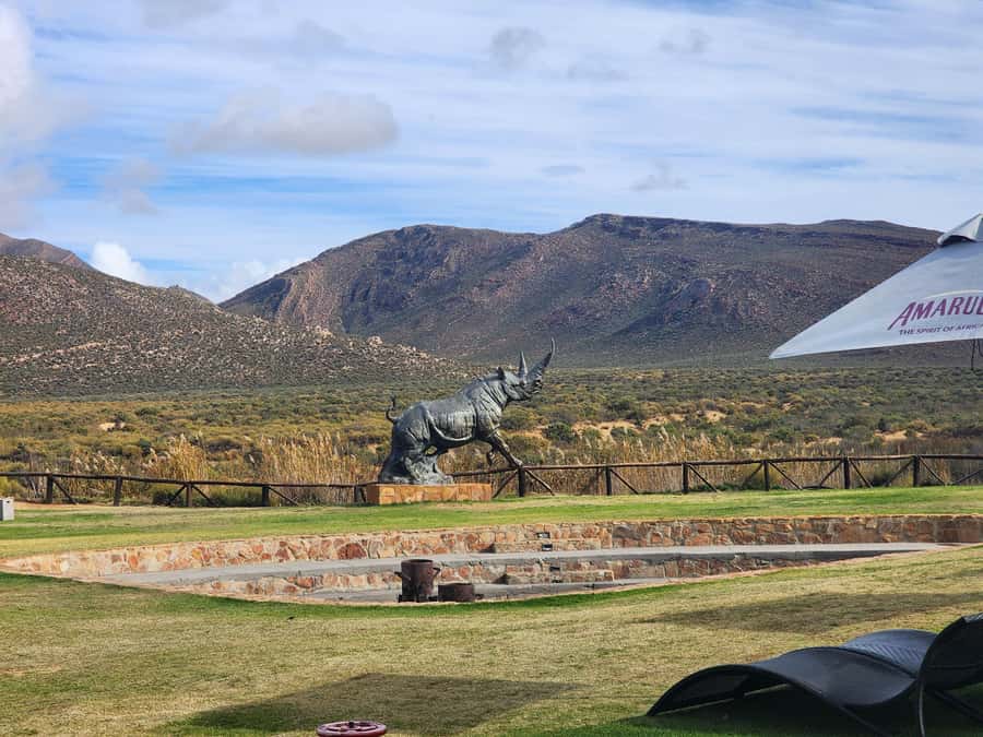 Cape Town big five safari with transport lunch Excl park fee - Who will enjoy this day most