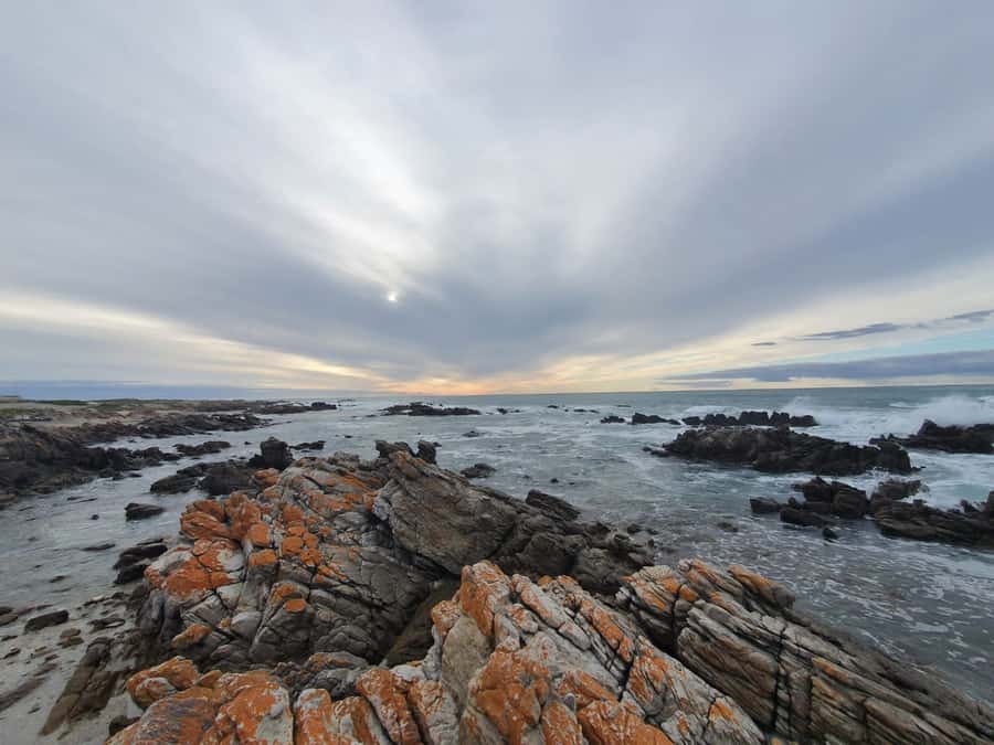 Cape Town: Cape Aghullas Van Tour with Hotel Pickup - Why Cape Agulhas is worth the long ride