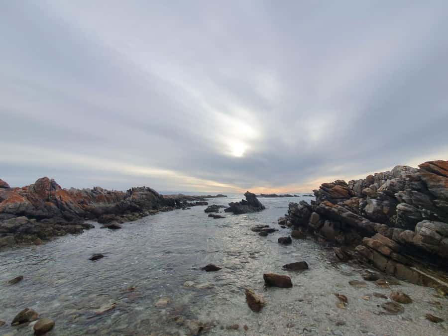 Cape Town: Cape Aghullas Van Tour with Hotel Pickup - Steenbras Dam and the Elgin Valley