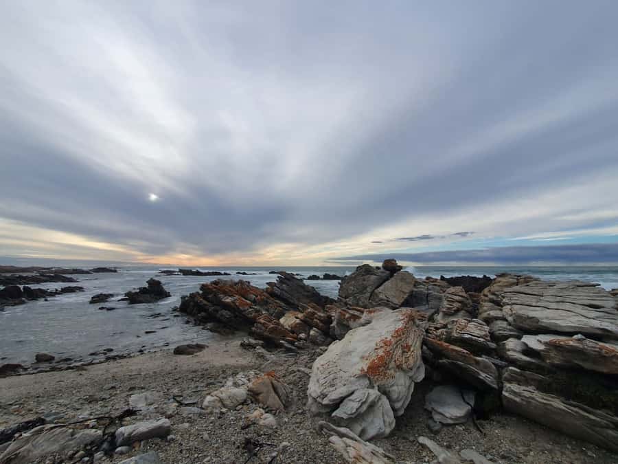 Cape Town: Cape Aghullas Van Tour with Hotel Pickup - Hermanus gives the day a coastal pause