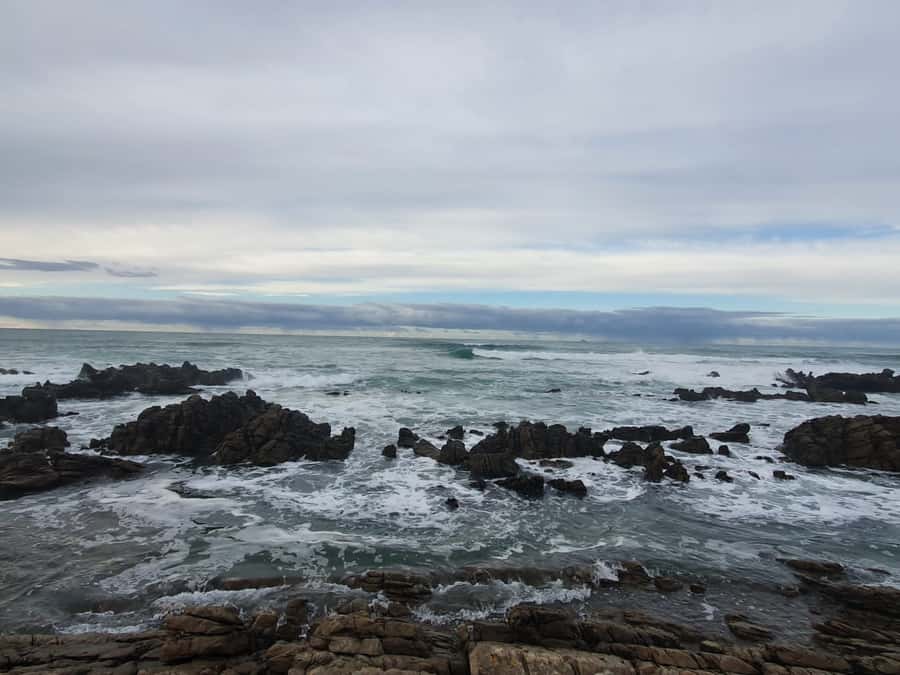 Cape Town: Cape Aghullas Van Tour with Hotel Pickup - Who should book this Cape Agulhas trip?
