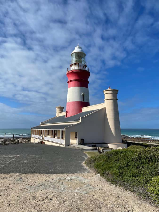 Cape Town: Cape Agulhas and Stony Point Penguin Tour - The drive is part of the experience, but it takes stamina