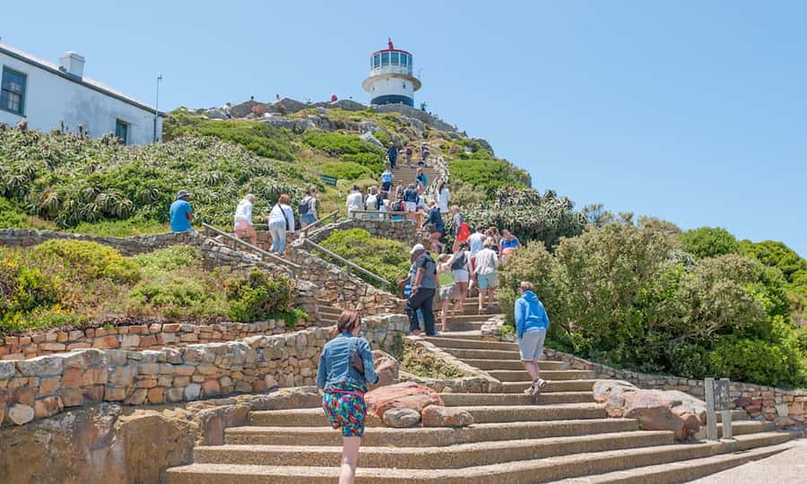 Cape Town: CAPE OF GOOD HOPE AND PENGUINS PRIVATE FULL DAY. - Chapmans Peak Drive, the scenic heart of the route