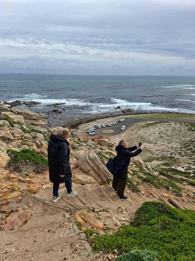 Cape Town: CAPE OF GOOD HOPE AND PENGUINS PRIVATE FULL DAY. - Meeting the African penguins at Boulders Beach