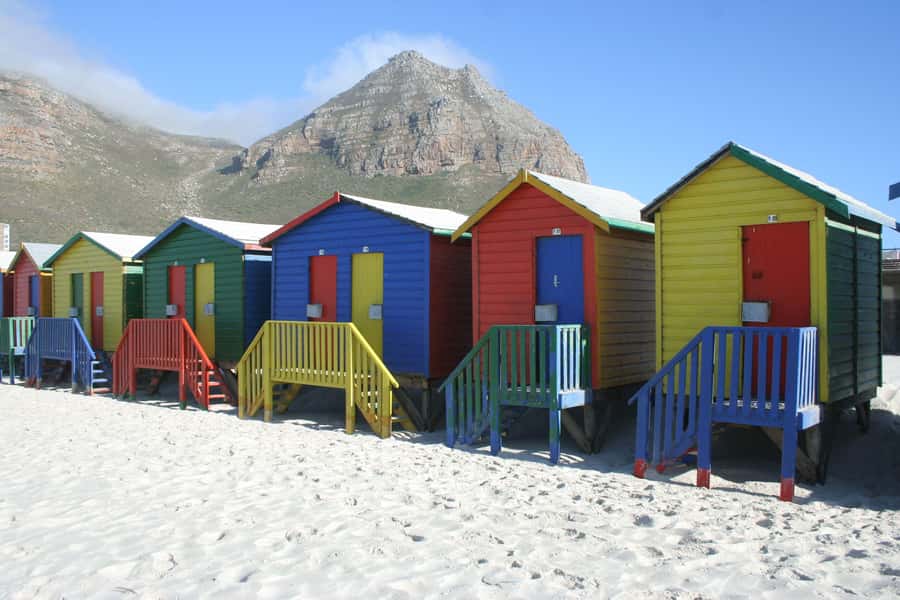 Cape Town: Cape of Good Hope & Boulders Beach Group Tour - Guides, timing, and the group experience