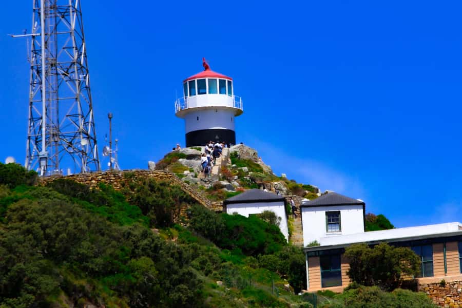 Cape Town: Cape of Good Hope & Boulders Beach Group Tour - Why this Cape Town day works so well