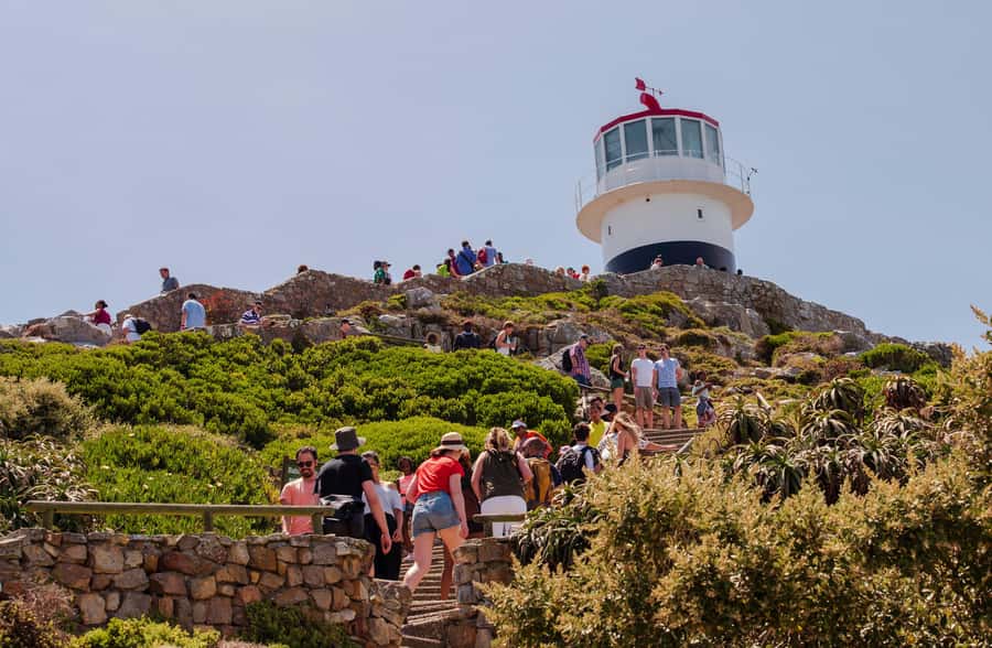 Cape Town: Cape of Good Hope & Cape Point Prebooked Ticket - Starting at the Main Gate of Cape of Good Hope