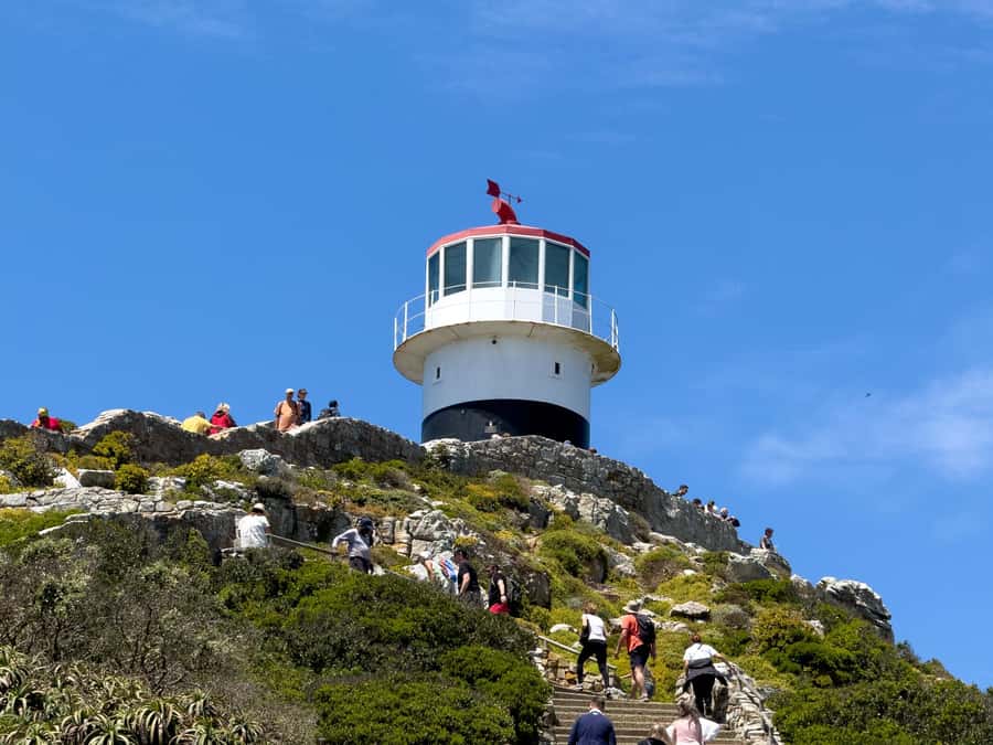 Cape Town: Cape of Good Hope & Penguin Colony Entry Ticket - How the $85 price works for you