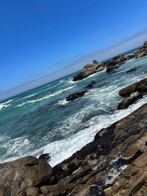 Cape Town: Cape of Good Hope & Penguins Full-Day Guided Tour - Boulders Beach: close views of the penguin colony