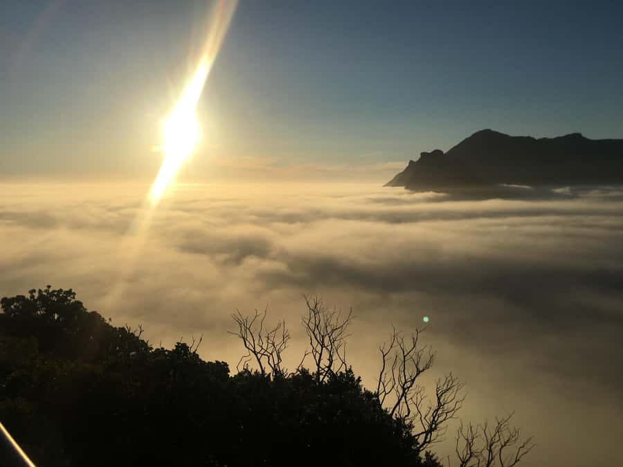 Cape Town: Cape of Good Hope & Penguins Full-Day Guided Tour - Simon’s Town provides the lunch break