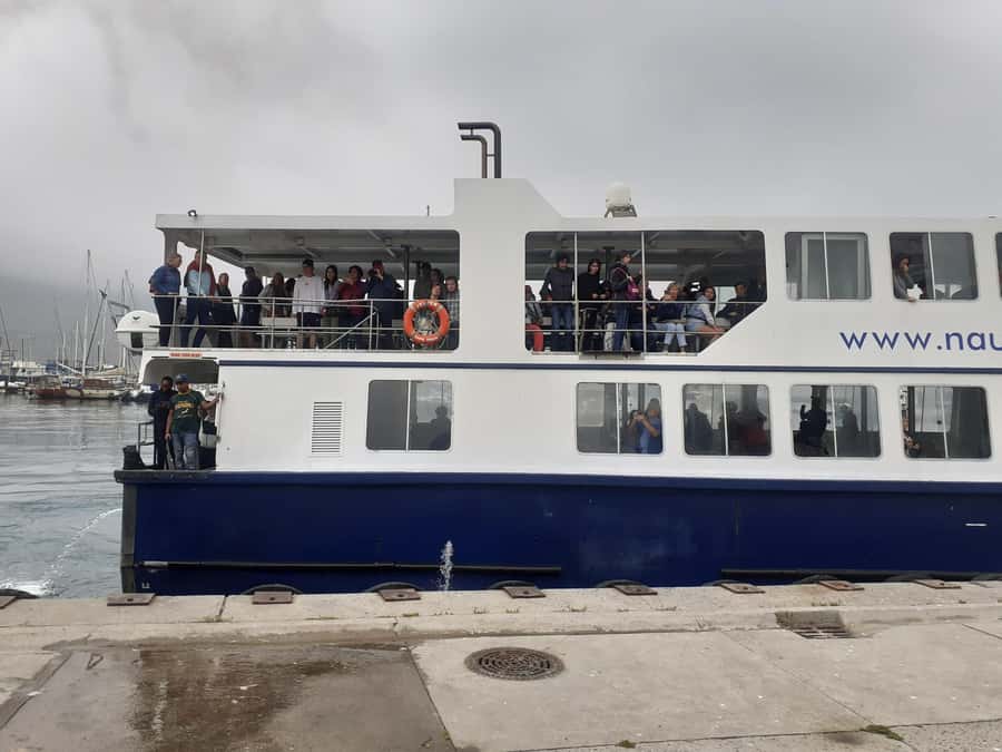Cape Town: Cape of Good Hope, Penguins Instagram Group Tour - Key points to know before booking