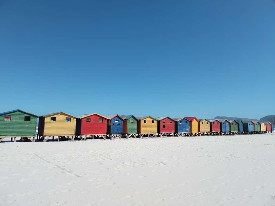 Cape Town: Cape of Good Hope, Penguins Instagram Group Tour - Muizenberg’s colorful beach huts