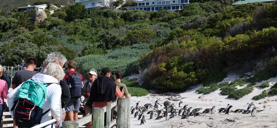Cape Town: Cape Peninsula & Table Mountain Private Day Trip - Why this private tour works well in one day