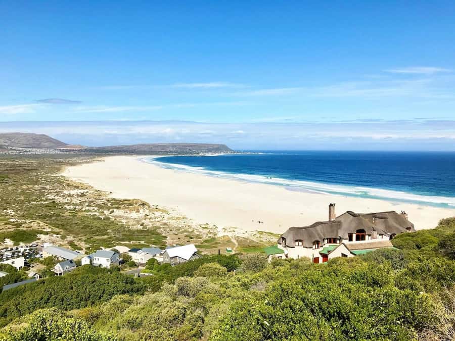 Cape Town: Cape Point and Penguin Colony Full Day Tour - Food, timing, and what to carry