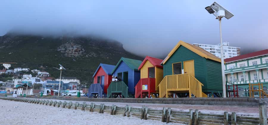 Cape Town: Cape Point & Boulders Beach Day Tour - Cape Point puts you among open reserve scenery