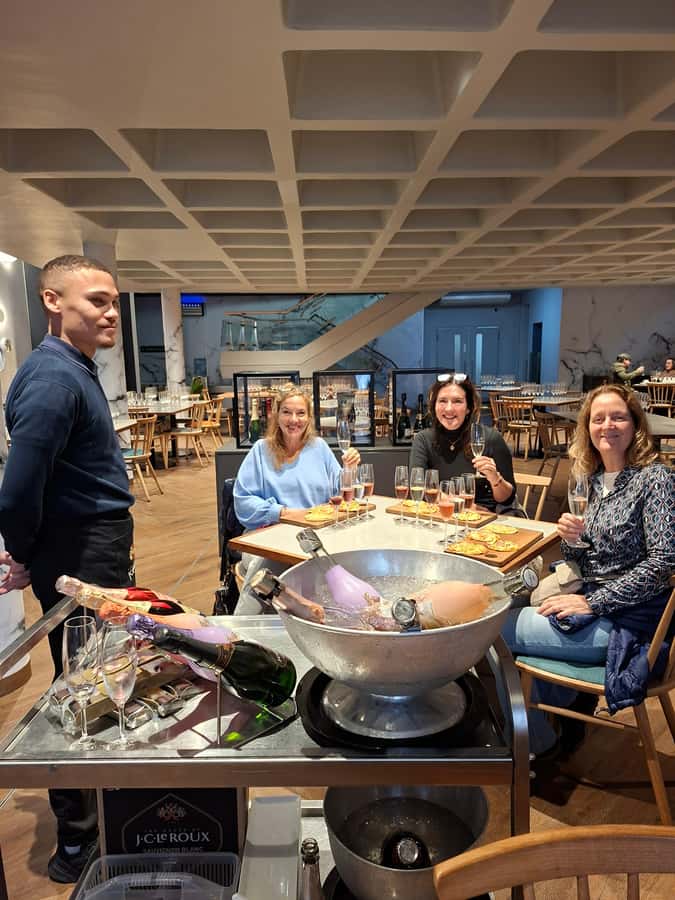 Cape Town: CHEETAH ENCOUNTER/WINE TESTING EXPERIENCE/LUNCH - Key points to know before booking
