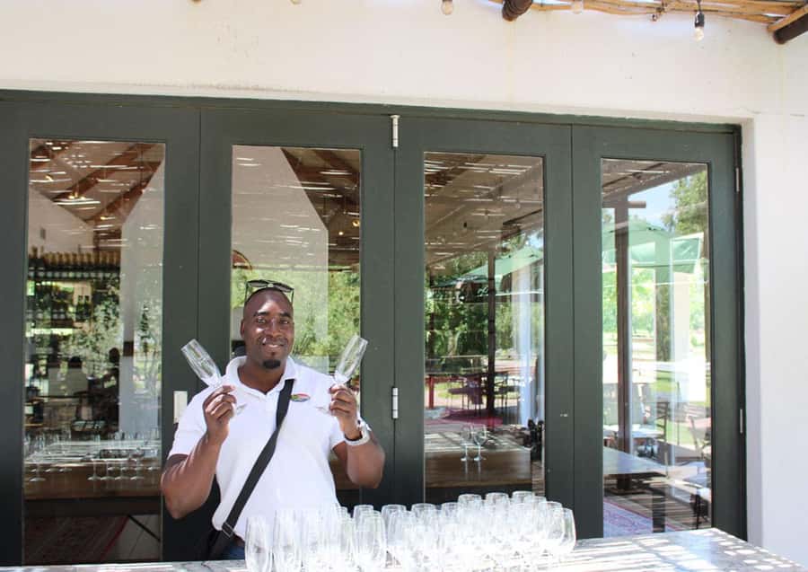 Cape Town: Cheetah Outreach and Winelands Day Tour - Key points to know before booking