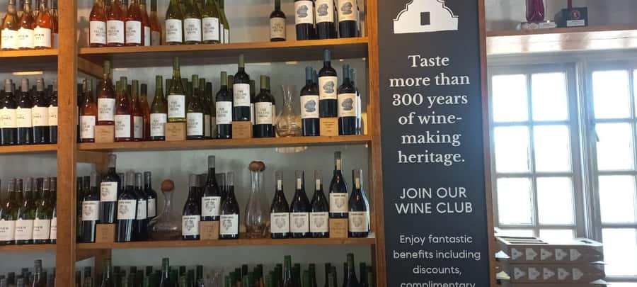 Cape Town: Cheetah Outreach and Winelands Day Tour - Why this pairing works in one Cape Town day