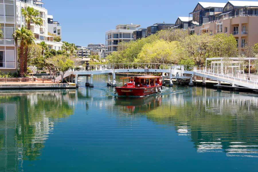 Cape Town: City Explorer Pass with Classic Bus Ticket - Hout Bay choices: seal cruise or fish and chips