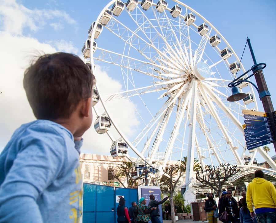 Cape Town City Pass: Save Over 50% on 80+ Top Attractions - The real value at $97