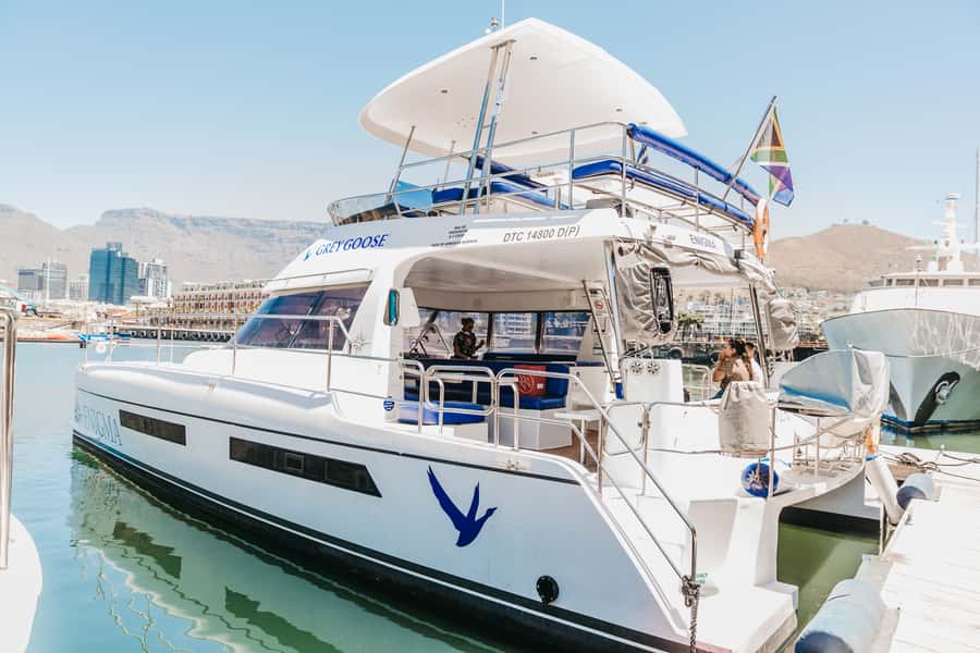 Cape Town: Coastal Cruise & 14-piece Sushi Meal - Checking in at the V&A Waterfront