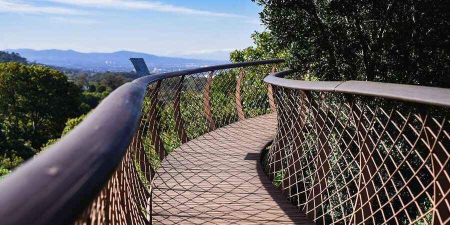 Cape Town: Constantia Half-Day Wine Tour & Tastings - Small practical details that improve the day