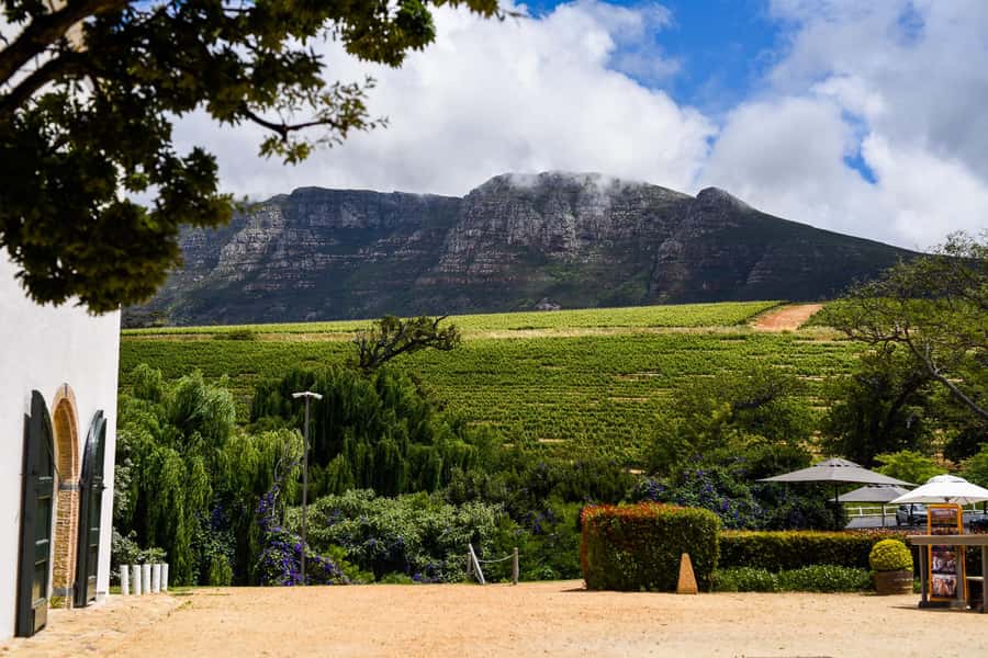 Cape Town: Constantia Half-Day Wine Tour & Tastings - Groot Constantia and the beginnings of Cape wine
