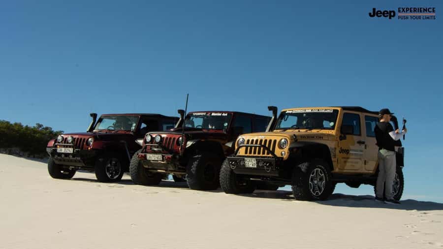 Cape Town Dessert Thrill: 4x4 Dune Venture - The real cost is $49 plus the permit